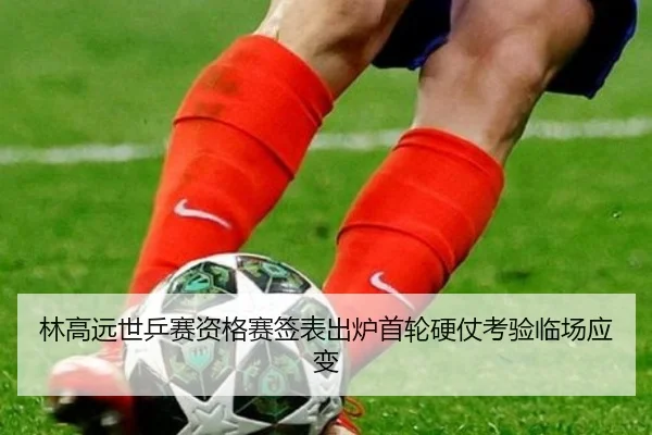 林高远世乒赛资格赛签表出炉首轮硬仗考验临场应变 - OUBAOSPORTS